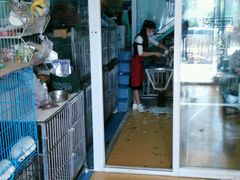 -喵宠乐园·撸猫互动·猫舍