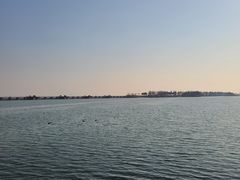 -贡湖湾湿地公园