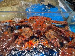 -徐记海鲜(梅溪新天地店)