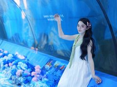 -重庆欢乐海底世界
