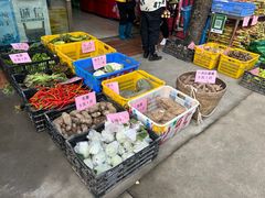 -新地休闲农场