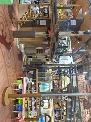 -卡通尼·Safari非洲探索乐园·生日会(金桥国际商业广场店)