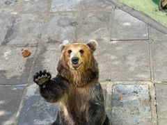 -西霞口神雕山野生动物世界