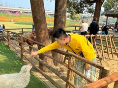 -秀丽东方