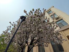 -北京化工大学(东校区)