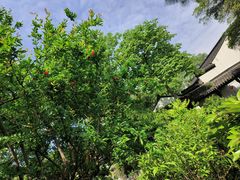 -南京市民俗博物馆(甘熙故居)