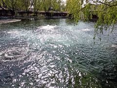 -百脉泉景区