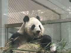 -成都动物园