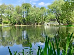 -上海共青森林公园