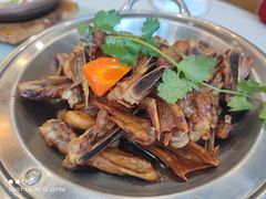 -美极鲜食坊(宝安南路店)
