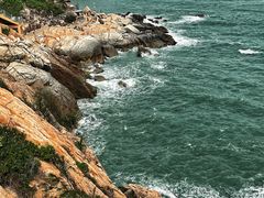 -广东惠东海龟国家级自然保护区