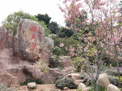 -狐尾山公园
