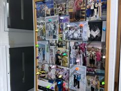 -青奢宠物·青奢猫舍