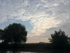 -长广溪湿地公园