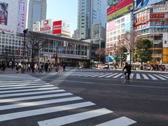 -涩谷全向十字路口