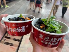 -黑色经典臭豆腐·湖南特产(坡子街店)