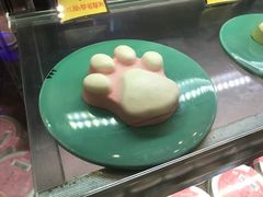 -猫咪博物馆(顶澳仔猫街店)