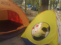 游乐设施-南海子公园