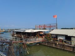 -大湾区中央湿地公园-十九涌