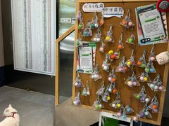 -伟伟宠物医院·CT影像中心·瑞派犬猫综合性门诊(汉口总院)