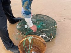 -刘家湾赶海园