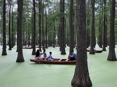-渌洋湖湿地公园