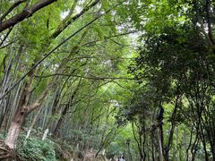 -峙山公园