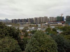 -飞凤山奥体公园