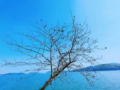 -天目湖涵田度假村