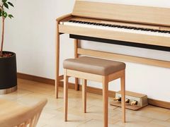 -柏斯琴行(汾阳店)