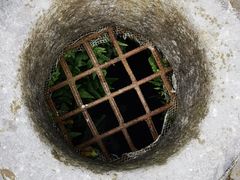 -上海佘山国家森林公园天马山园