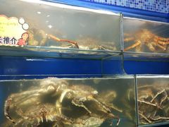 -蚝专家(北滘店)