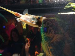 -沈阳海洋探索中心