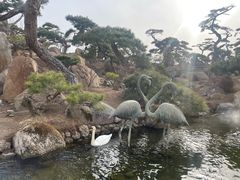 -罗红摄影艺术馆