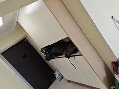 -一起装修网(集团店)