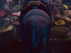 -迪拜帆船酒店海底餐厅