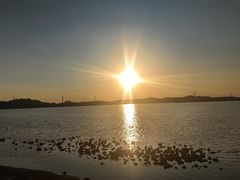 -汕尾风车岛