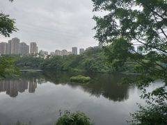 -重庆彩云湖湿地公园