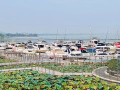 -苏州太湖国家湿地公园