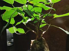 -南堂館川菜文化餐厅(天府店)