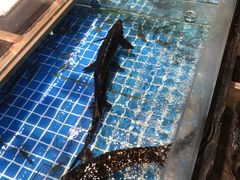 -阿娘家·原生态农家菜(国顺东路店)