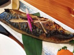 盐烤青花鱼-文三酒肆自助放题(新街口友谊广场店)