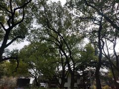 -上海大学(嘉定校区)