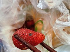 -雪儿钱局泡菜