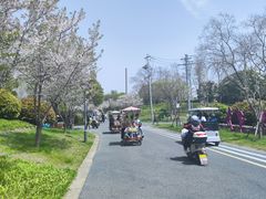 -贡湖湾湿地公园