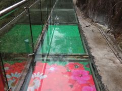 -九龙江国家森林公园