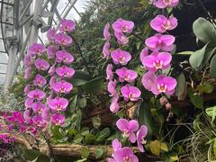 -北京植物园-展览温室