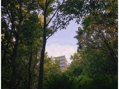 -大伊山景区