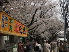 -名古屋城