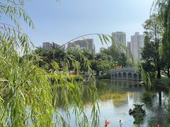 -四海公园(南山区)
